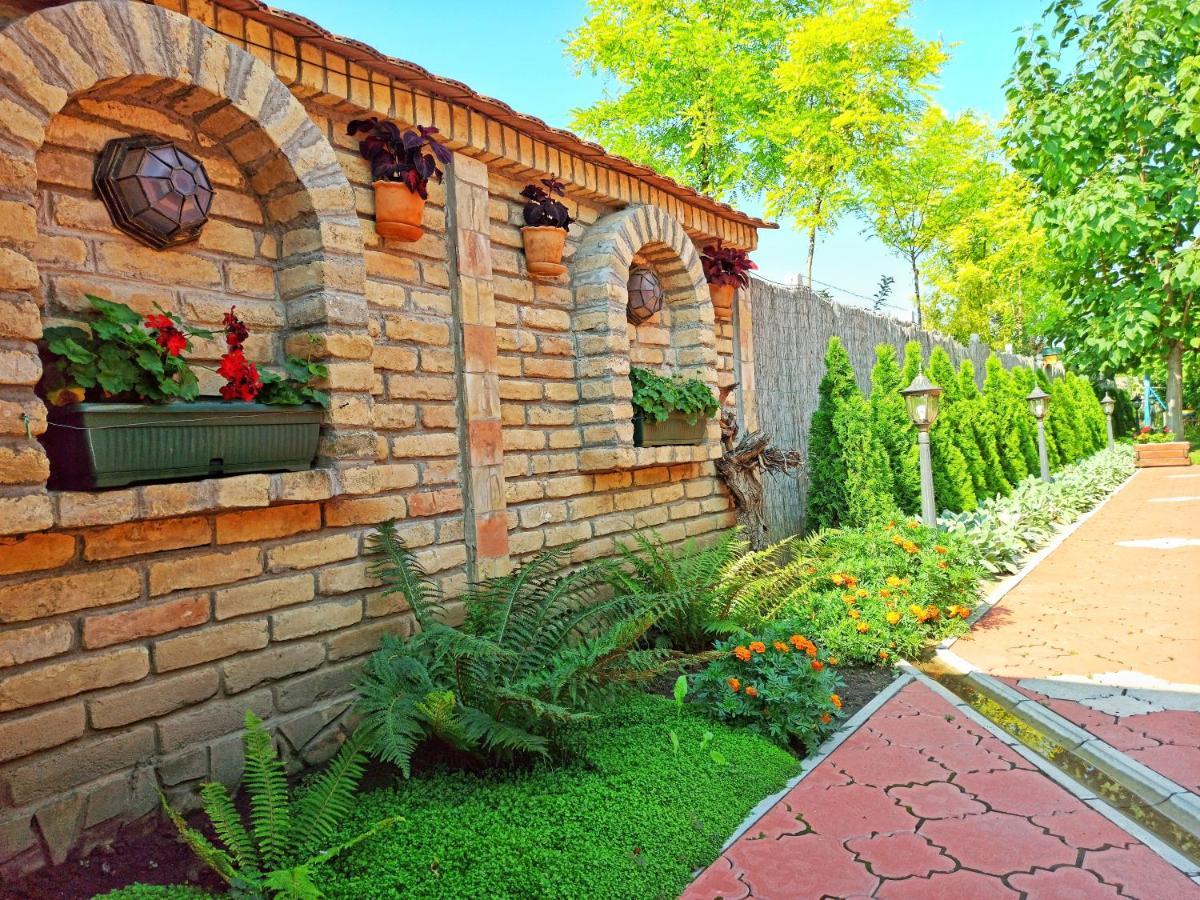 Eko Apartmani Backi Petrovac Dış mekan fotoğraf
