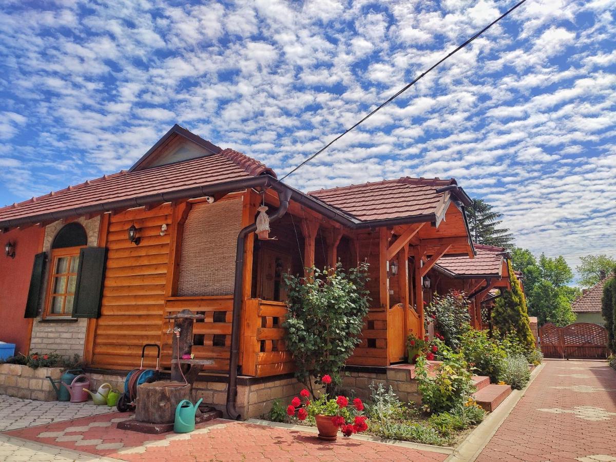Eko Apartmani Backi Petrovac Dış mekan fotoğraf