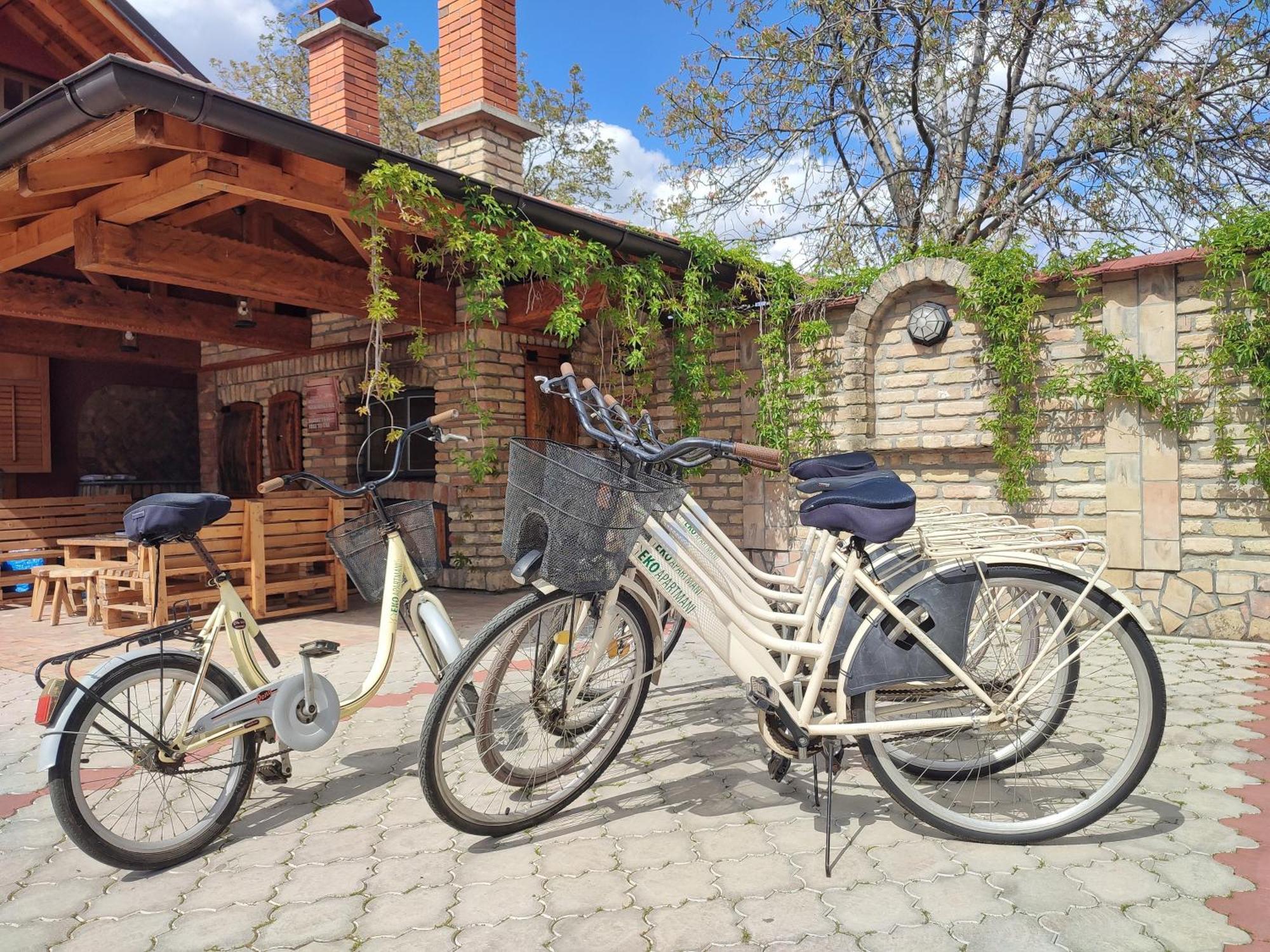 Eko Apartmani Backi Petrovac Dış mekan fotoğraf