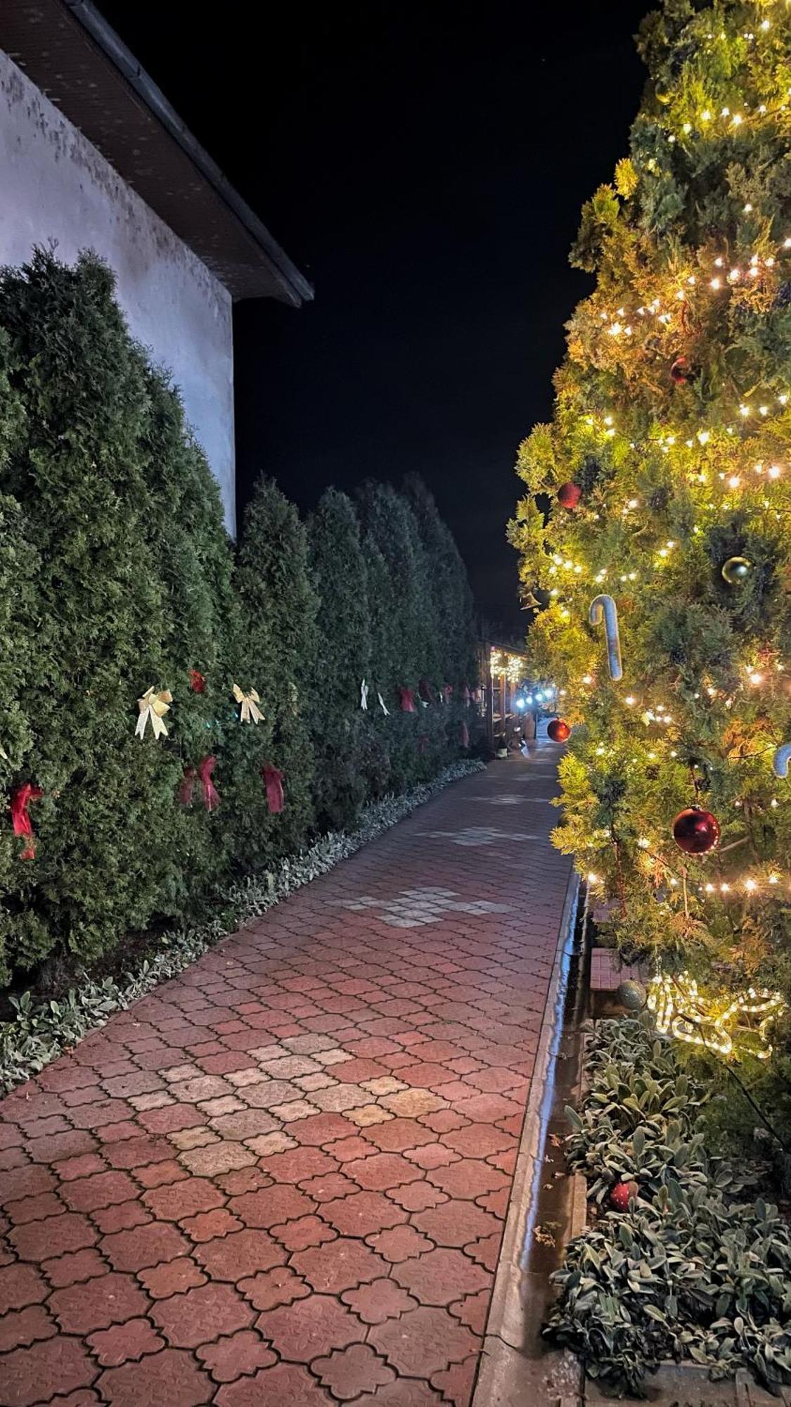 Eko Apartmani Backi Petrovac Dış mekan fotoğraf