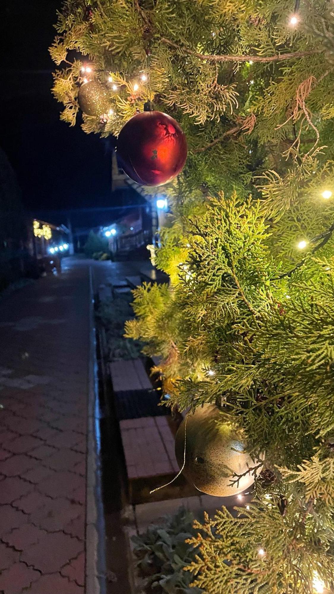 Eko Apartmani Backi Petrovac Dış mekan fotoğraf