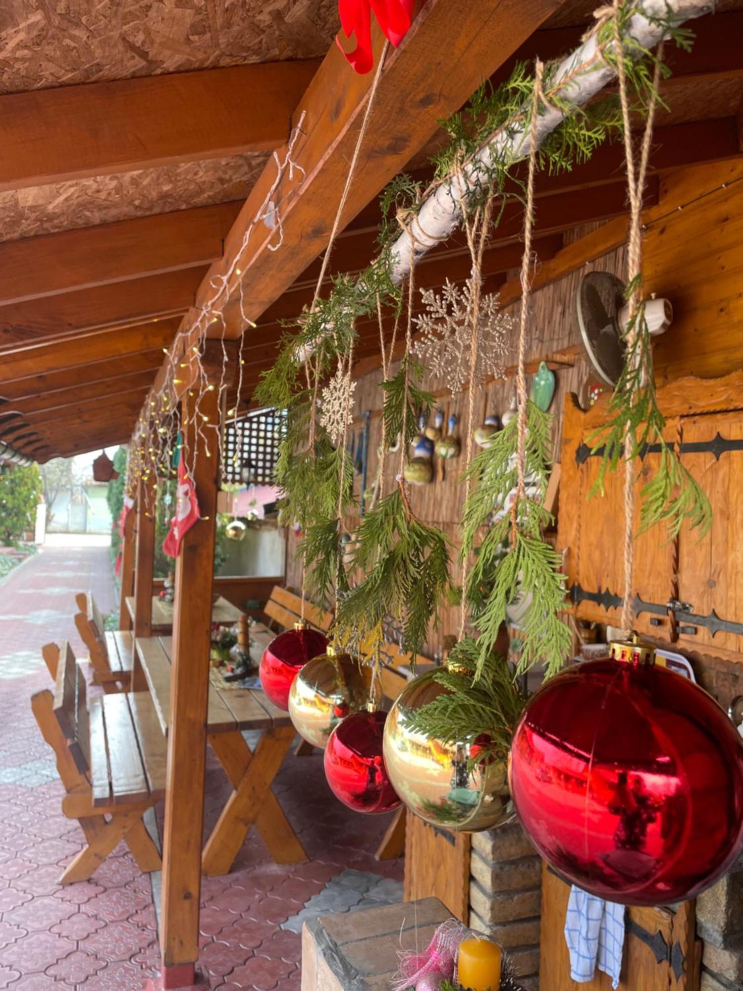 Eko Apartmani Backi Petrovac Dış mekan fotoğraf