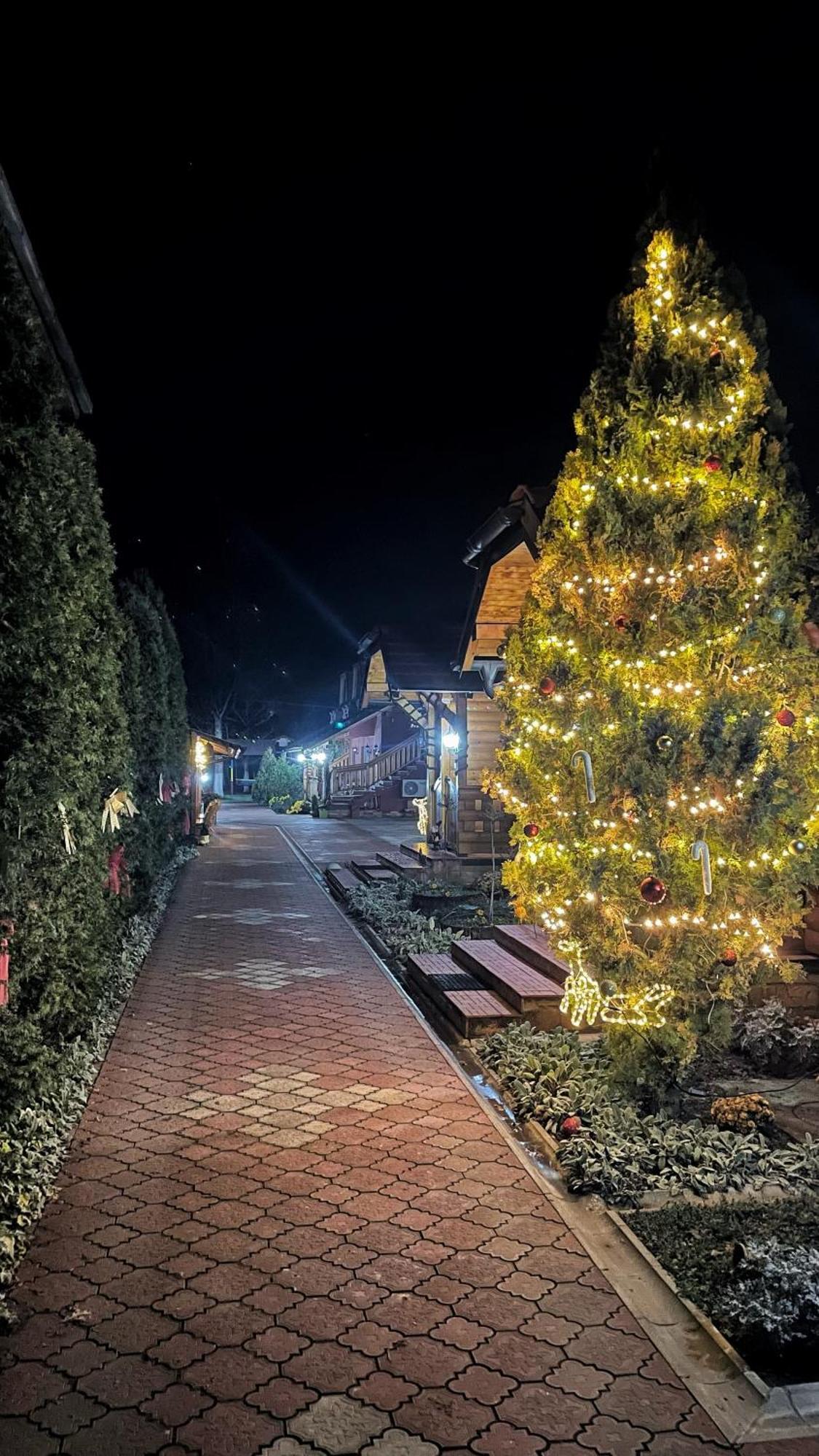 Eko Apartmani Backi Petrovac Dış mekan fotoğraf