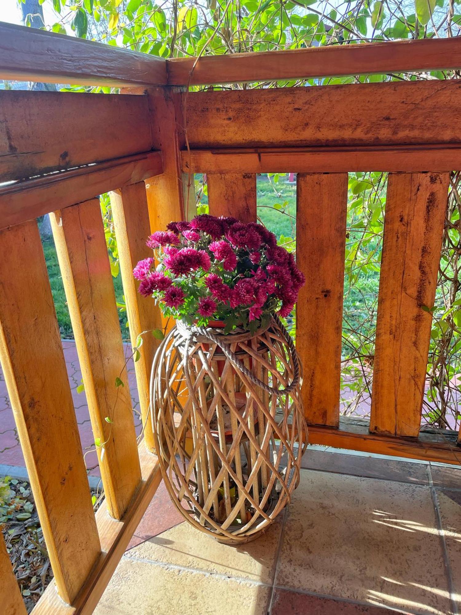 Eko Apartmani Backi Petrovac Dış mekan fotoğraf